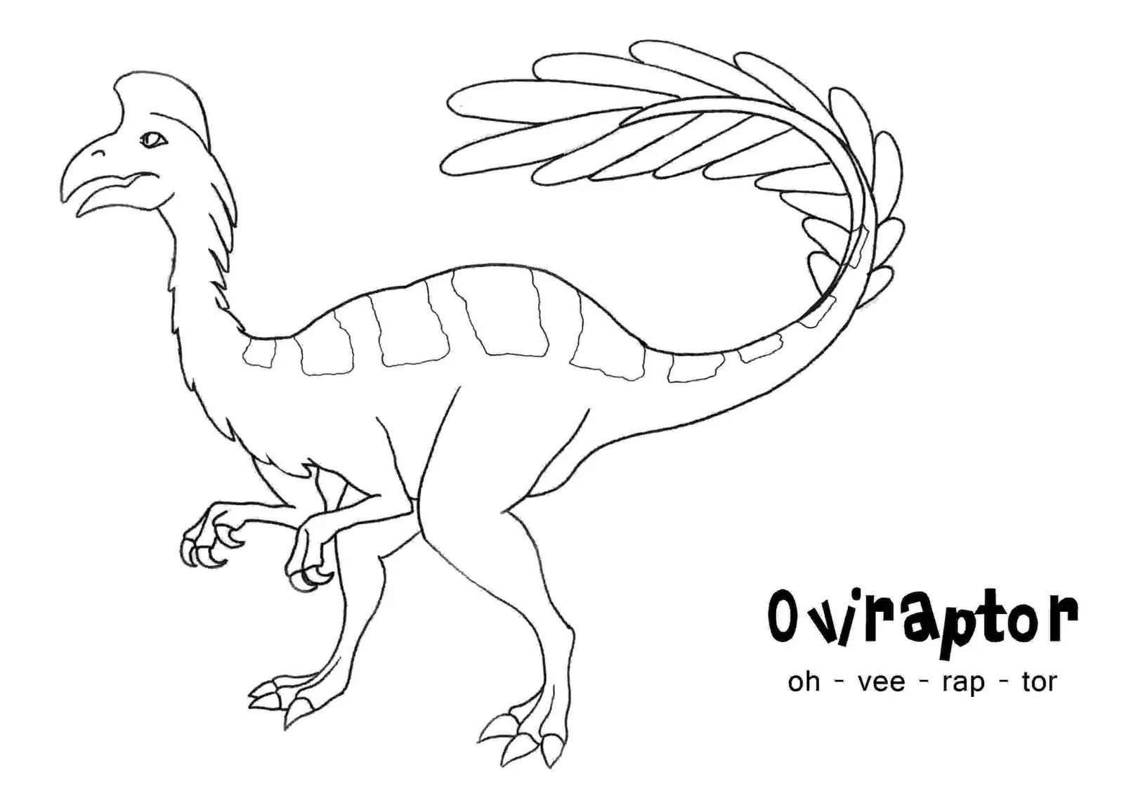 Desenhos de Arqueopterix Para Colorir 23