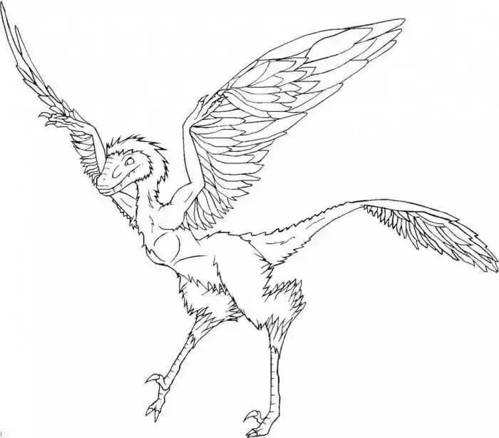 Desenhos de Arqueopterix Para Colorir 24