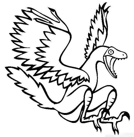 Desenhos de Arqueopterix Para Colorir 26