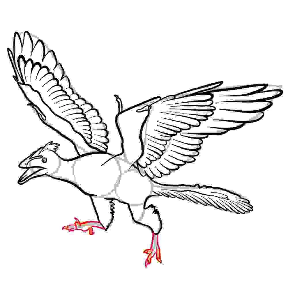 Desenhos de Arqueopterix Para Colorir 28