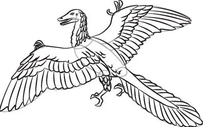 Desenhos de Arqueopterix Para Colorir 3