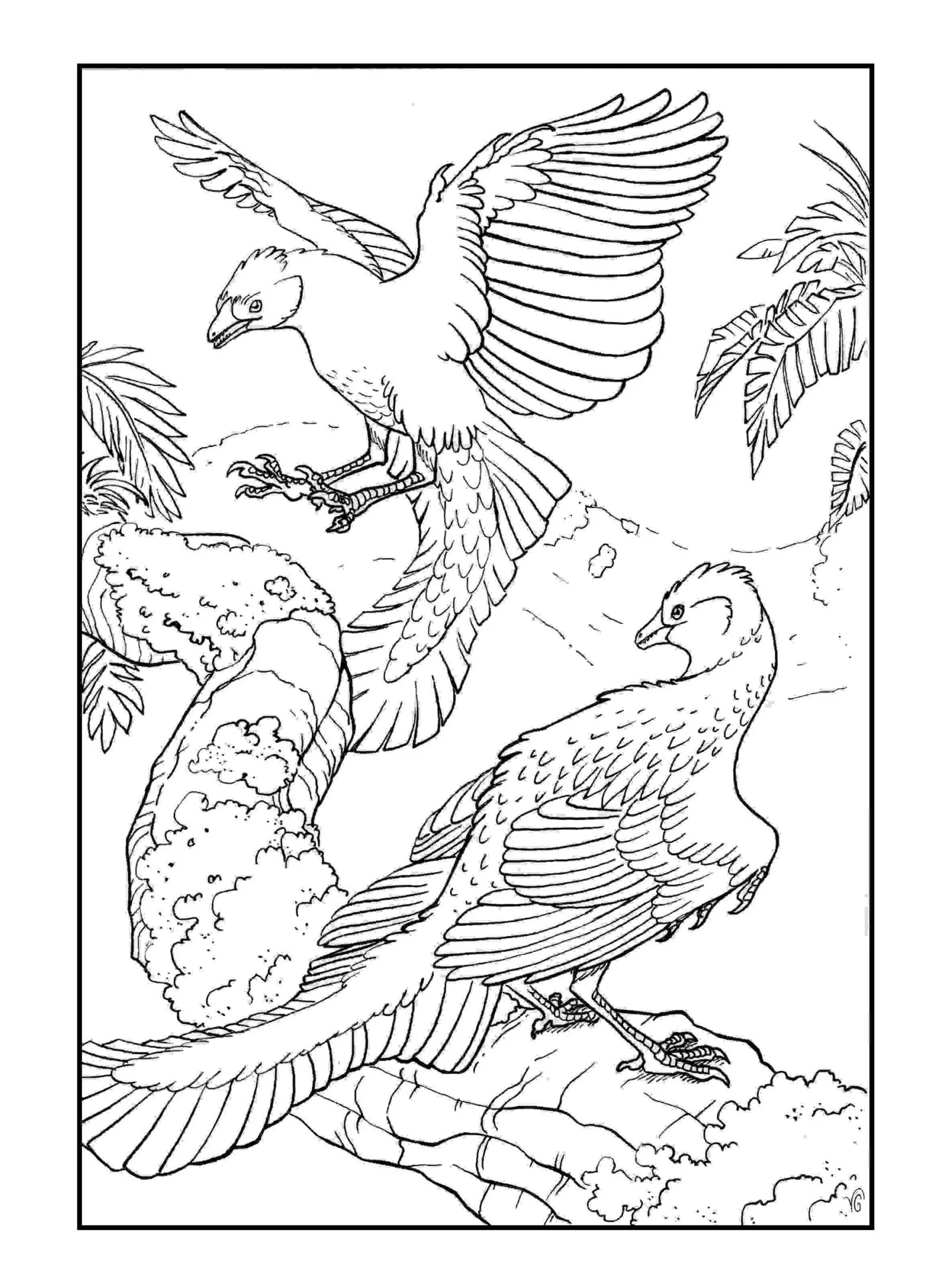 Desenhos de Arqueopterix Para Colorir 30