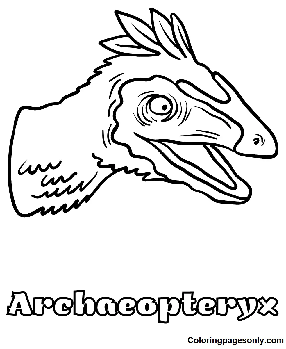Desenhos de Arqueopterix Para Colorir 39