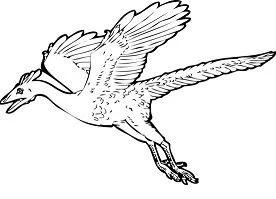Desenhos de Arqueopterix Para Colorir 6