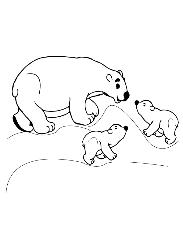 Animales Del Artico Para Colorear