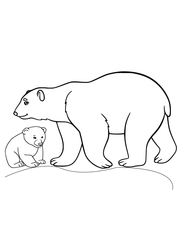 Animais Do Artico Para Colorir 7