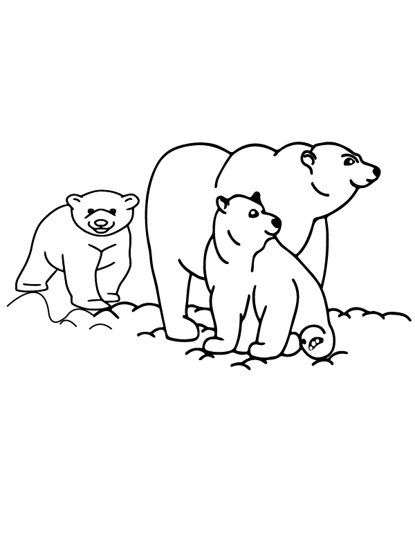 Animais Do Artico Para Colorir 8