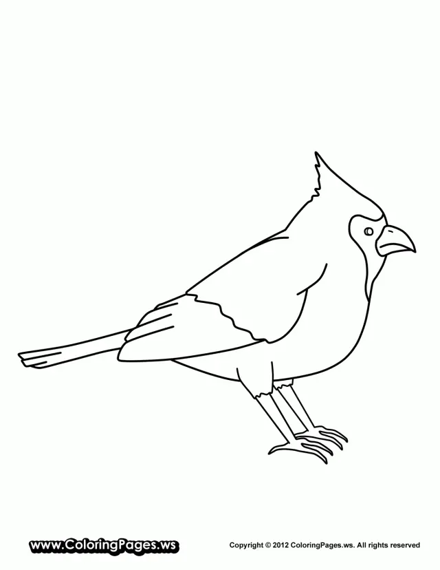 Arizona Cardinals Coloring Pages 16