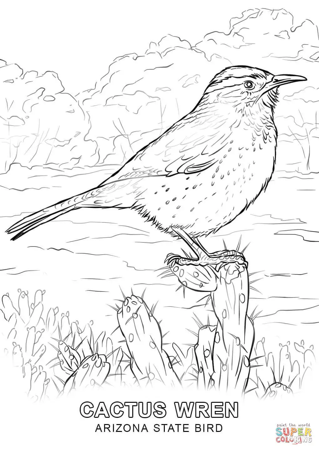 Arizona Cardinals Coloring Pages 36