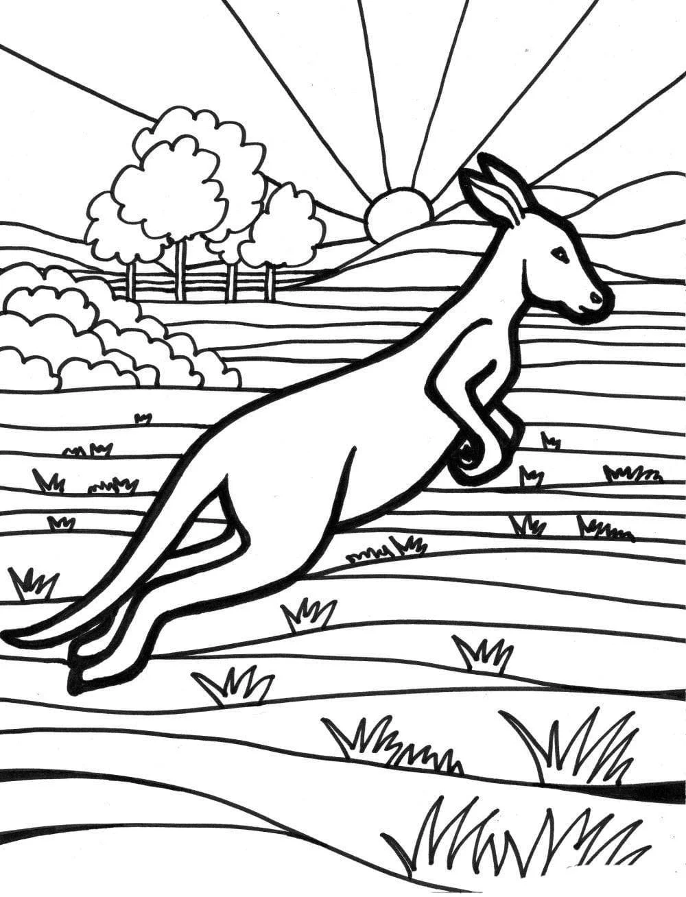Australia Coloring Pages 35