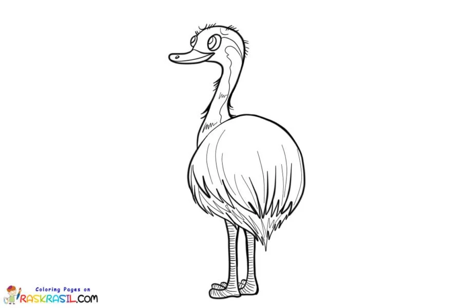 Animales Australianos Para Colorear 10