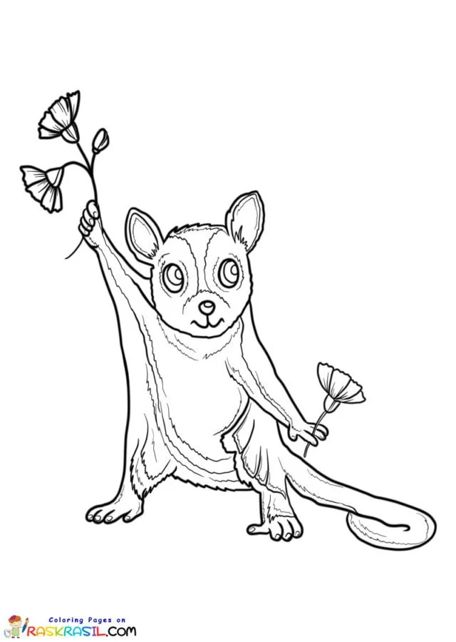 Animales Australianos Para Colorear 2