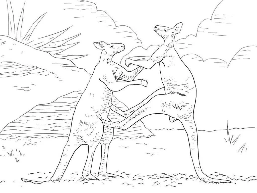 Animales Australianos Para Colorear 46