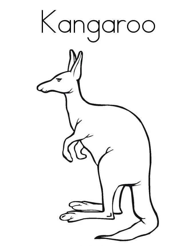 Animales Australianos Para Colorear 59