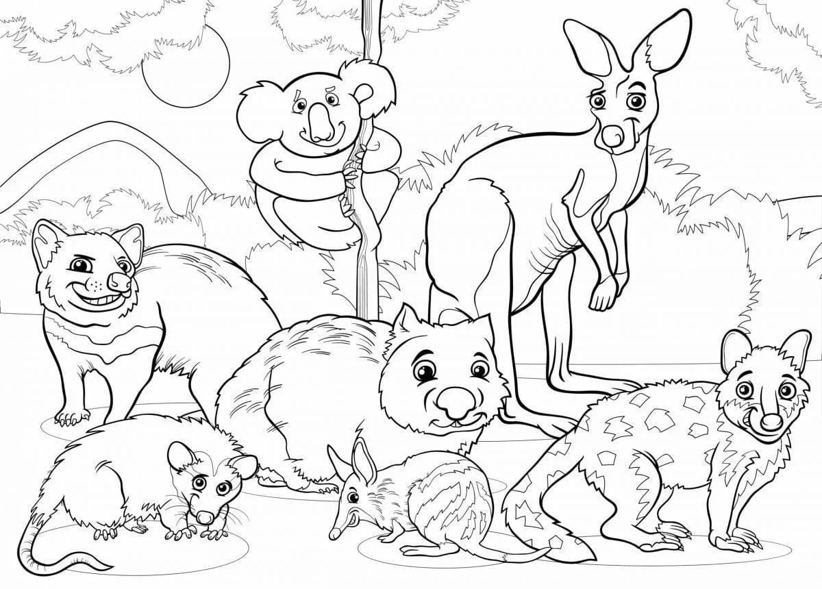 Animales Australianos Para Colorear 63