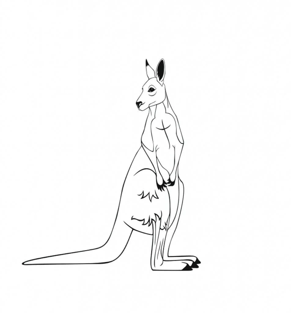 Animales Australianos Para Colorear 96