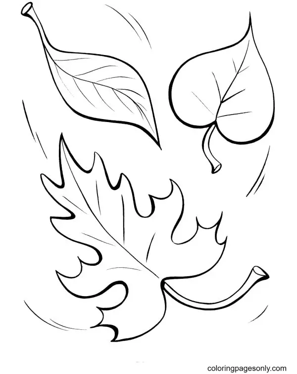 Autumn Leaves Coloring Pages 12