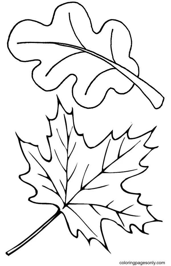 Autumn Leaves Coloring Pages 16