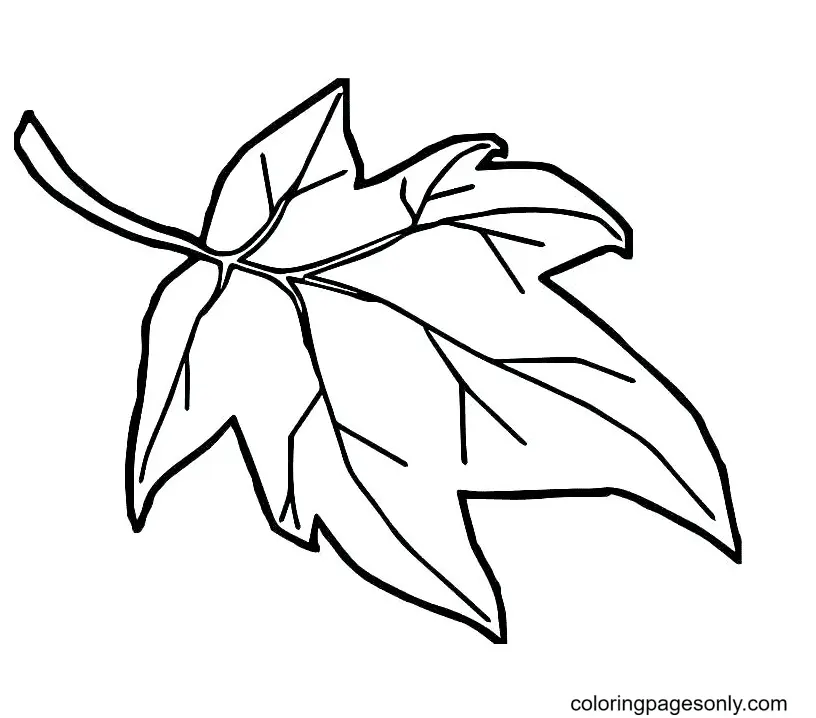 Autumn Leaves Coloring Pages 19