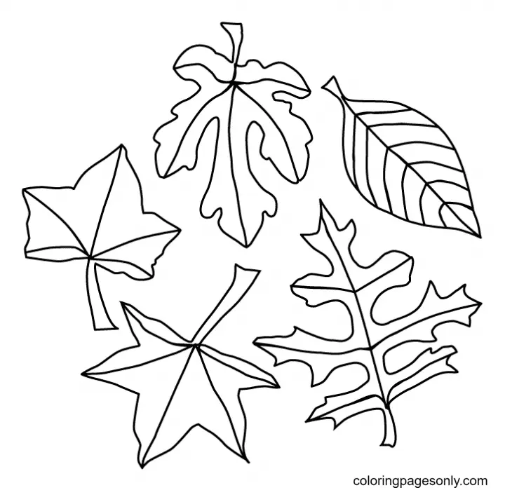 Autumn Leaves Coloring Pages 2