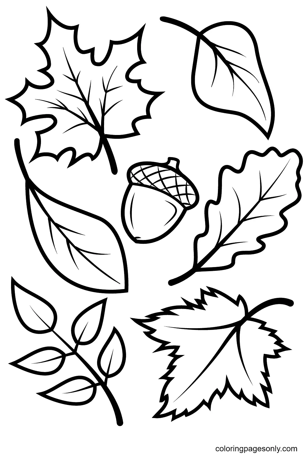 Autumn Leaves Coloring Pages 22