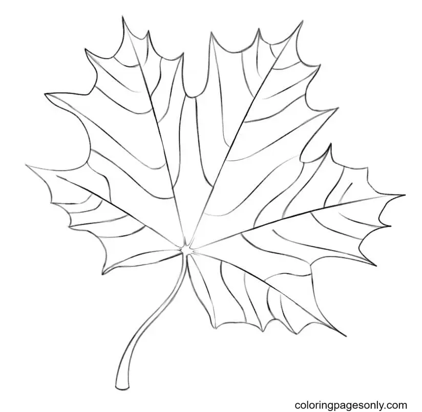 Autumn Leaves Coloring Pages 25