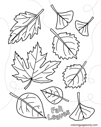 Autumn Leaves Coloring Pages 26