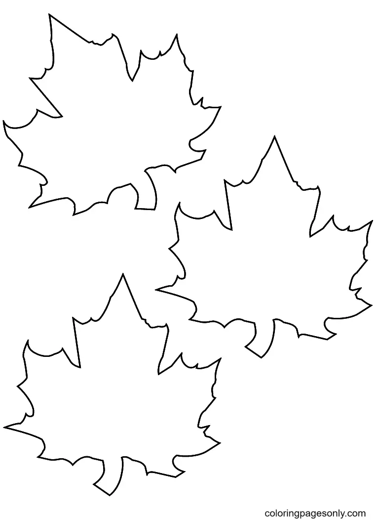 Autumn Leaves Coloring Pages 29