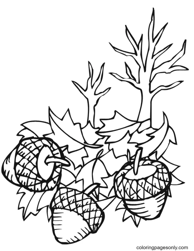 Autumn Leaves Coloring Pages 32