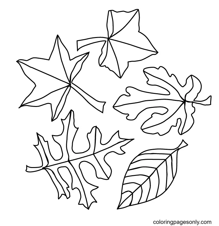 Autumn Leaves Coloring Pages 33