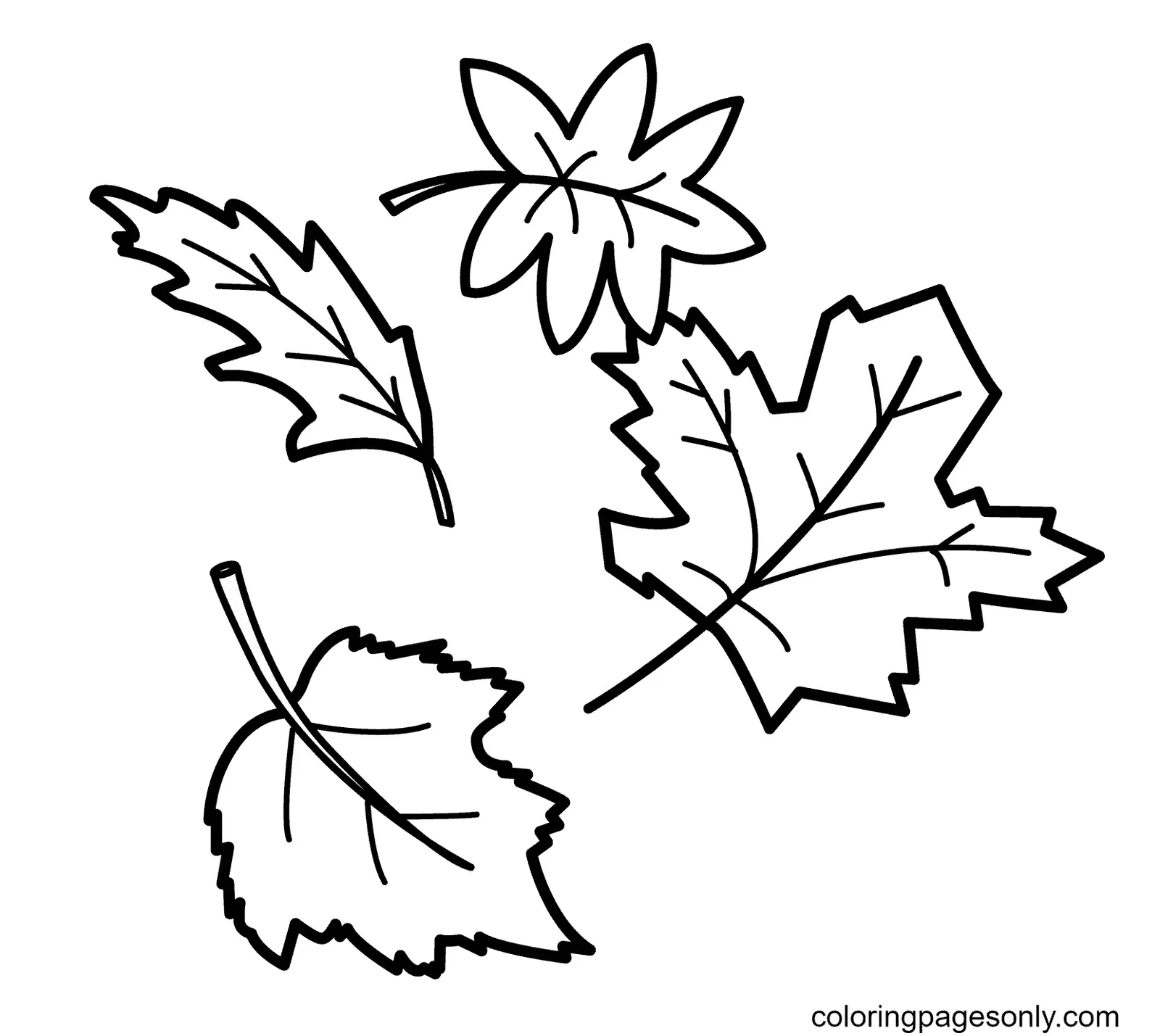 Autumn Leaves Coloring Pages 4