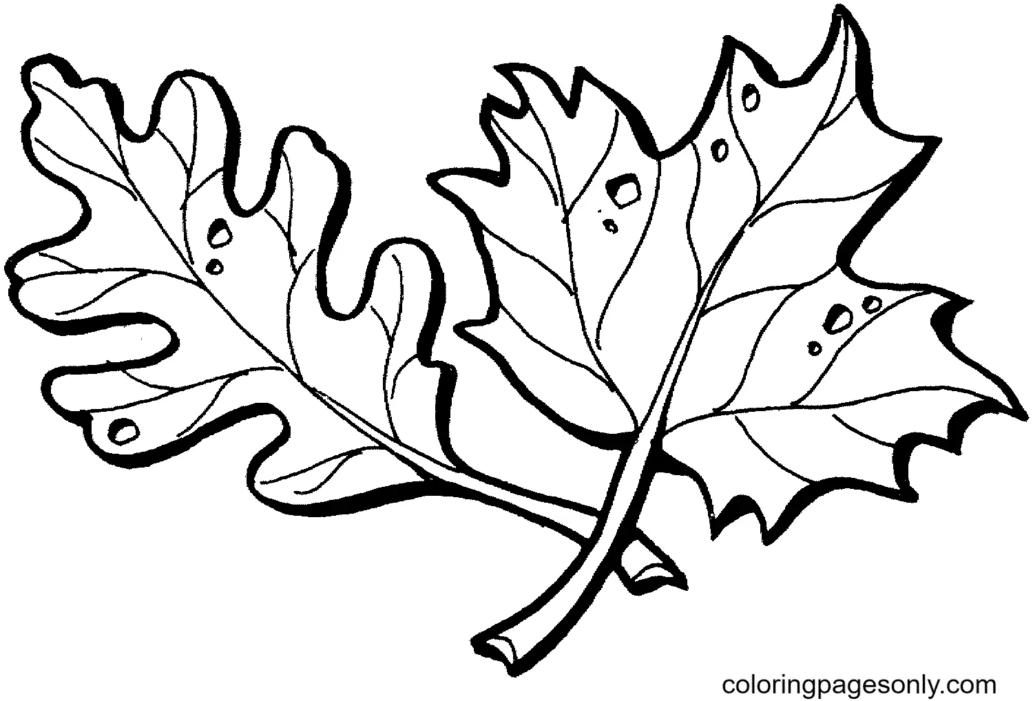 Autumn Leaves Coloring Pages 44