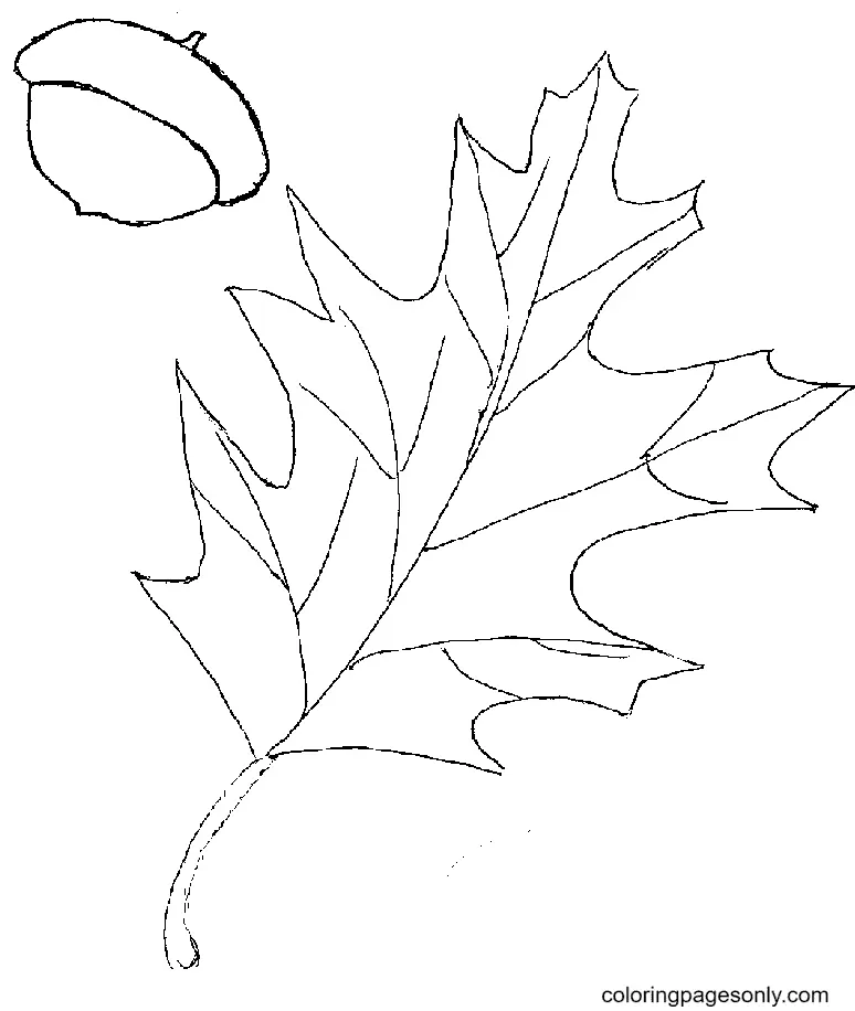 Autumn Leaves Coloring Pages 49
