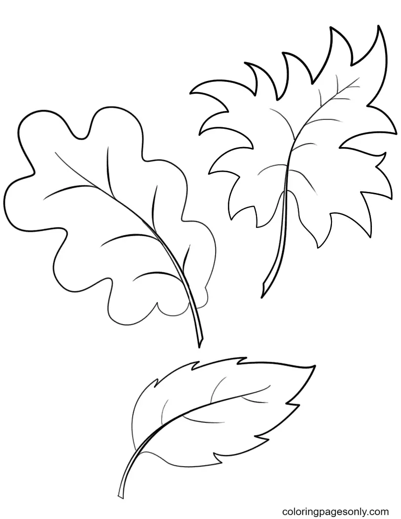 Autumn Leaves Coloring Pages 51