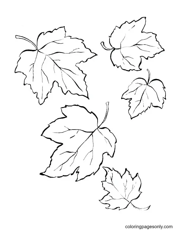Autumn Leaves Coloring Pages 54