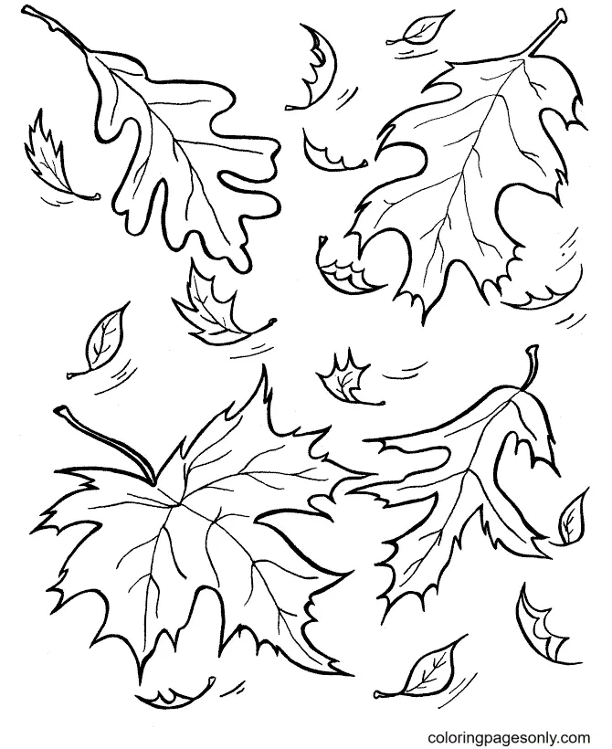Autumn Leaves Coloring Pages 6