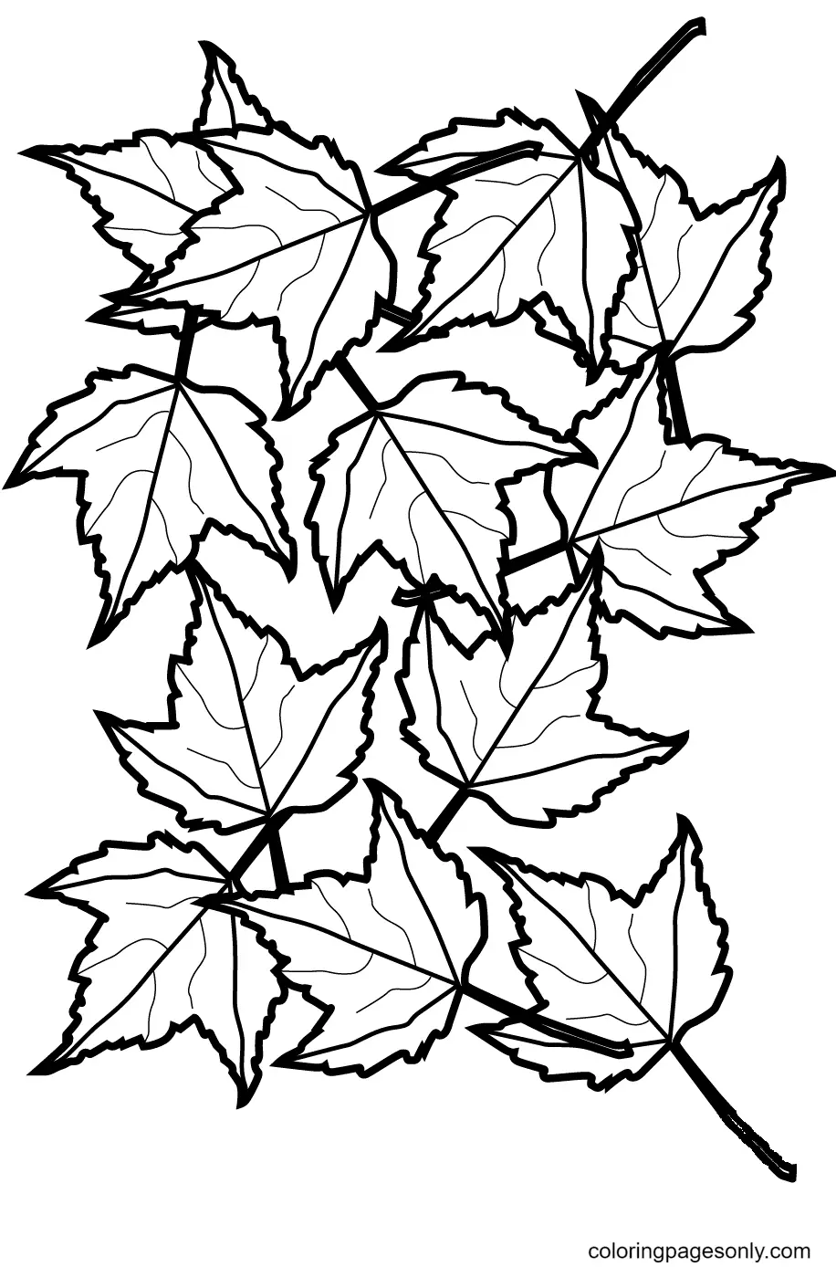 Desenhos de Folhas de Outono Para Colorir