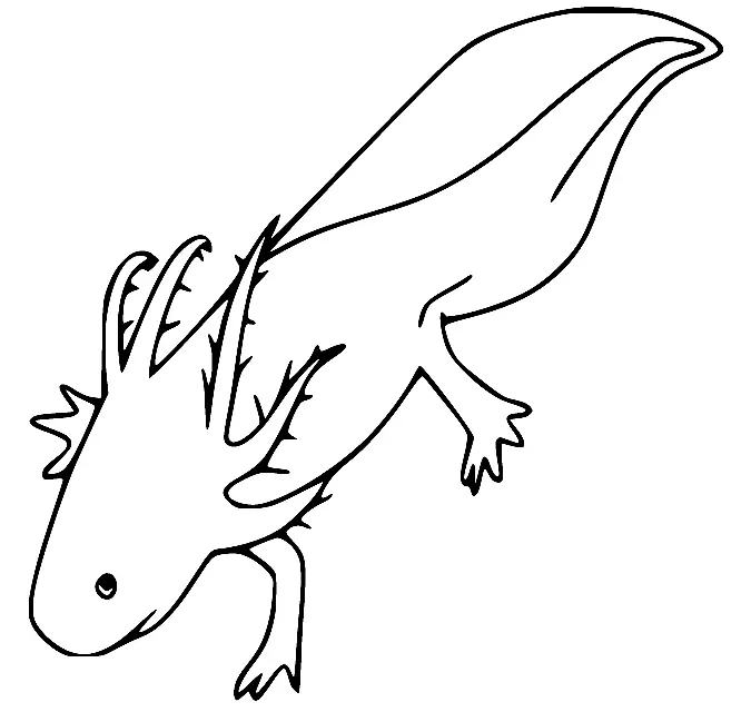 Axolotl Para Colorear 10