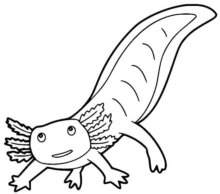 Axolotl Para Colorear 13