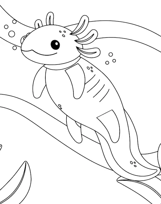 Axolotl Para Colorear 38