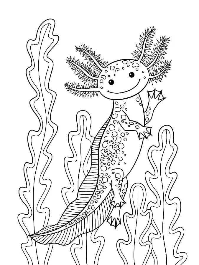 Axolotl Para Colorear 39