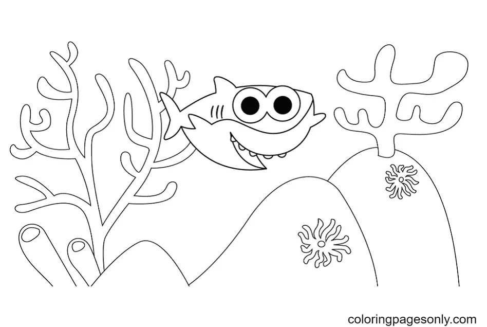 Baby Shark Para Colorear