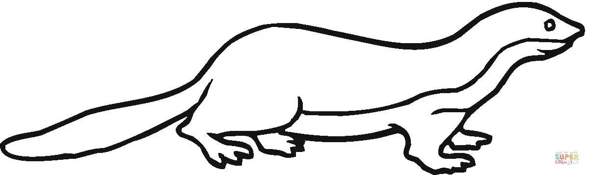 Badgers coloring pages