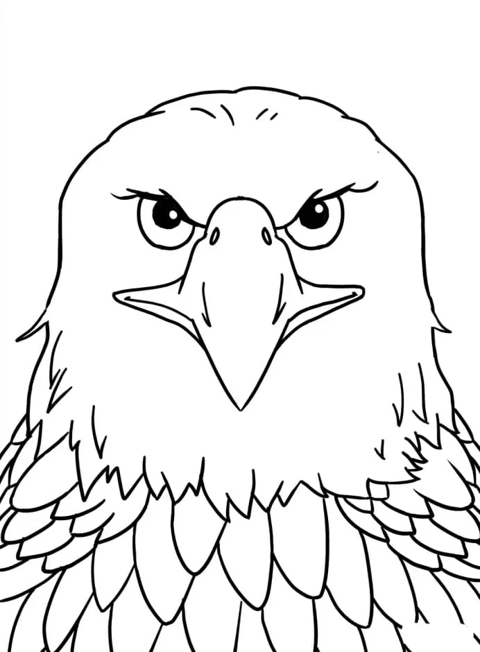 Bald Eagle Ausmalbilder 103