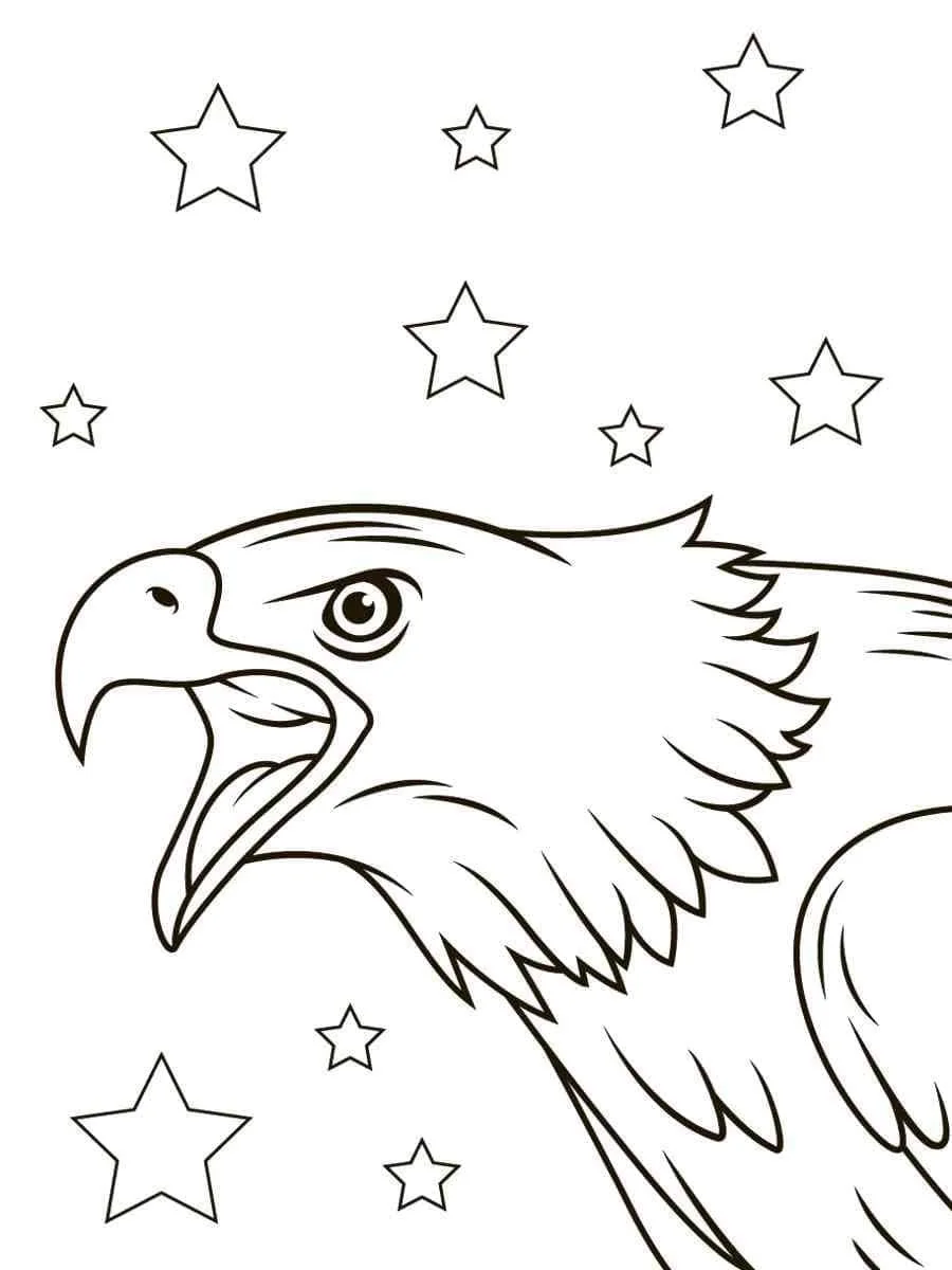 Bald Eagle Ausmalbilder 106