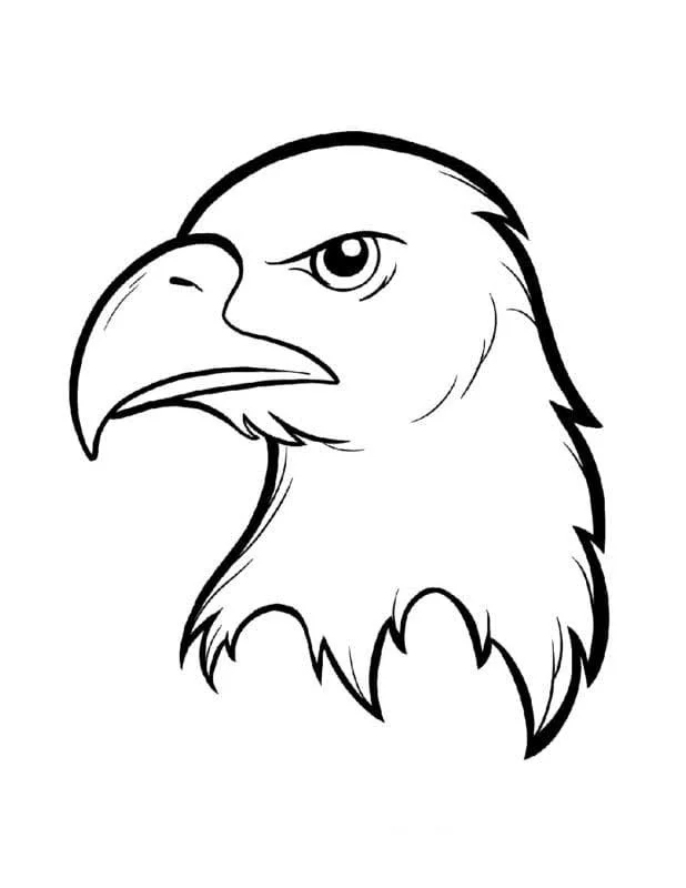 Bald Eagle Ausmalbilder 108