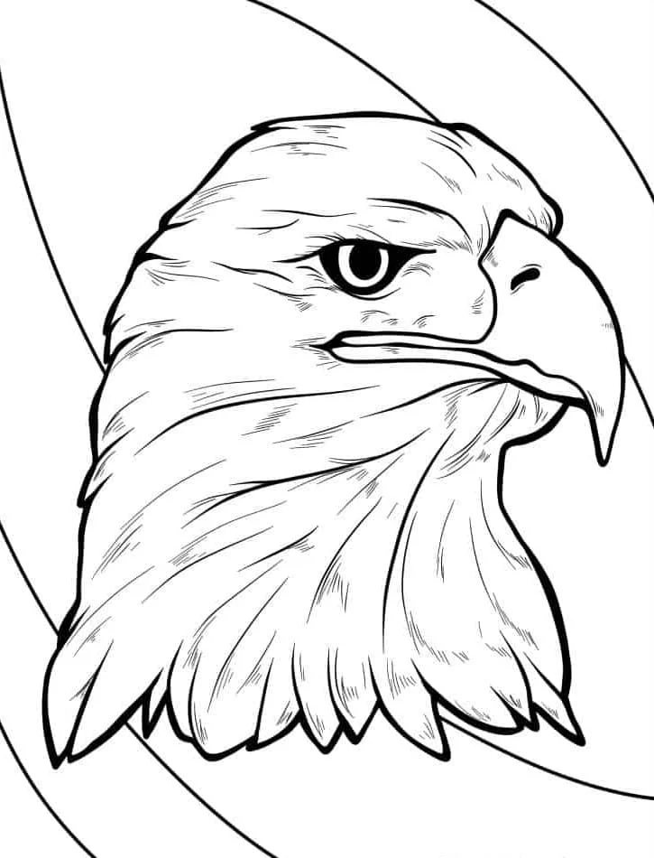 Bald Eagle Ausmalbilder 11