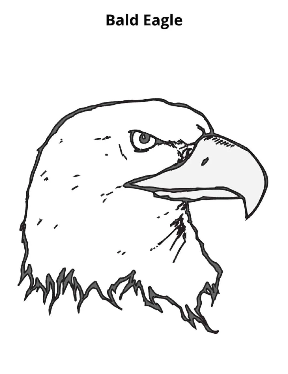 Bald Eagle Ausmalbilder 12
