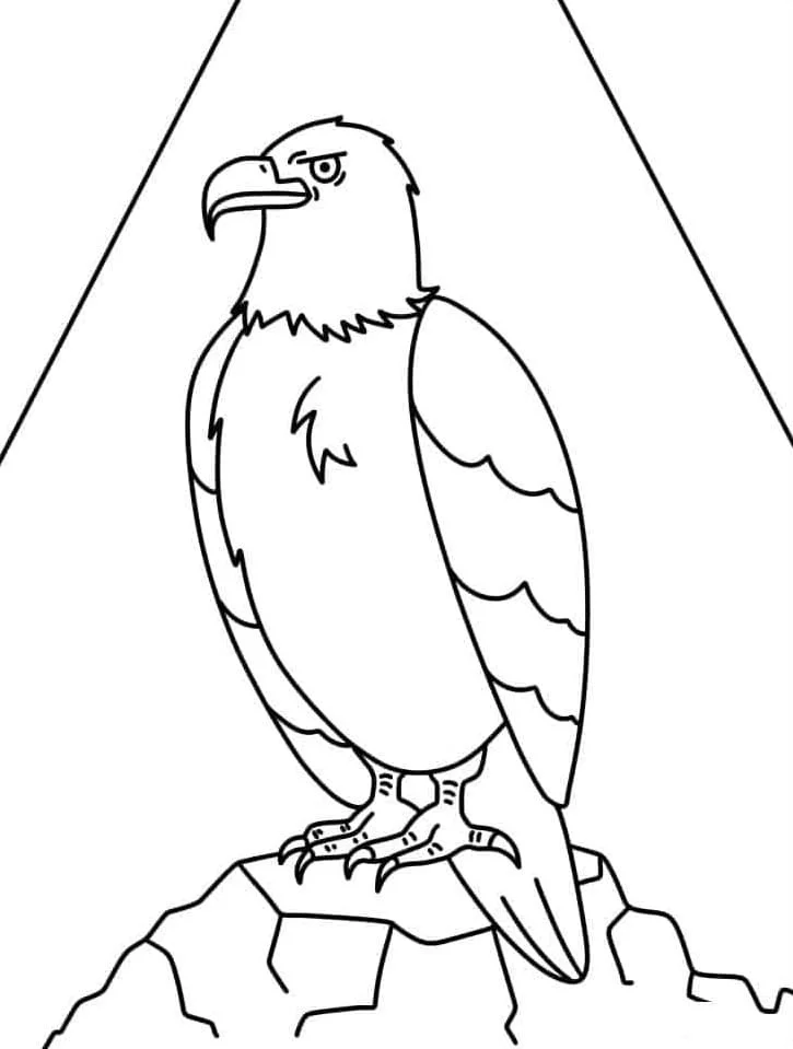 Bald Eagle Ausmalbilder 15