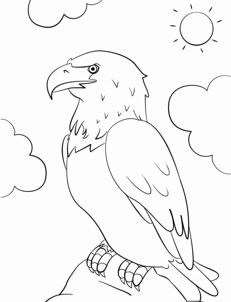 Bald Eagle Ausmalbilder 76